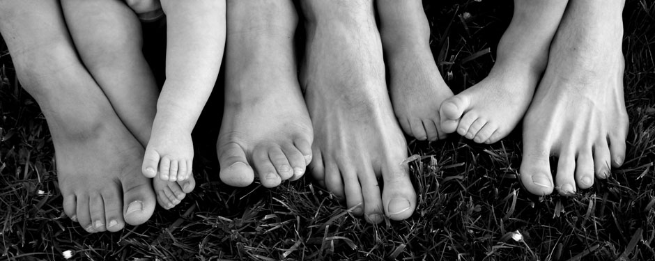 header-grass